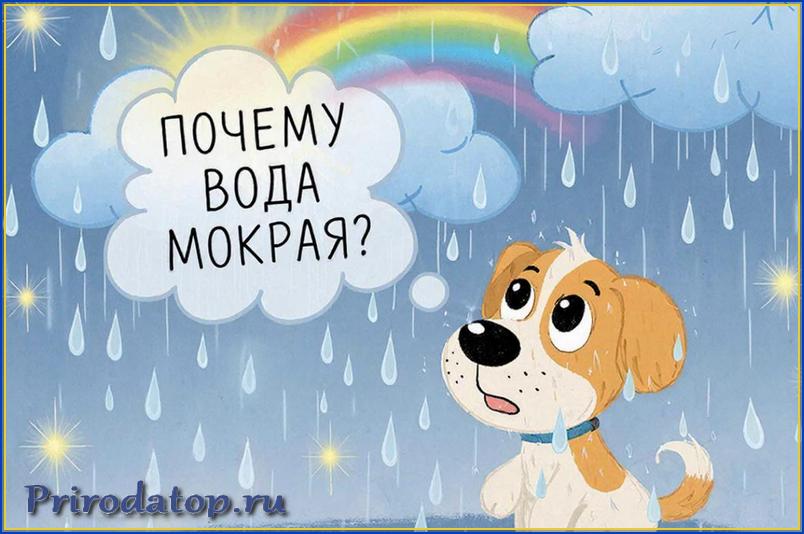 voda mokraya 5