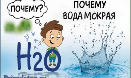 mokraya voda
