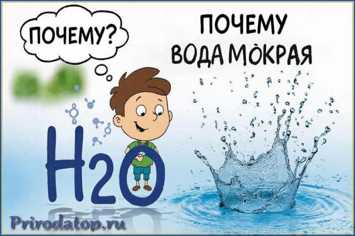Почему вода мокрая? Научный взгляд на обычное чудо природы
