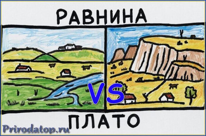 Сходство и различие равнина и плато